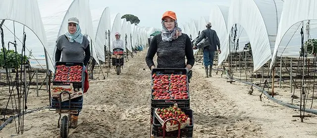 El emigrante