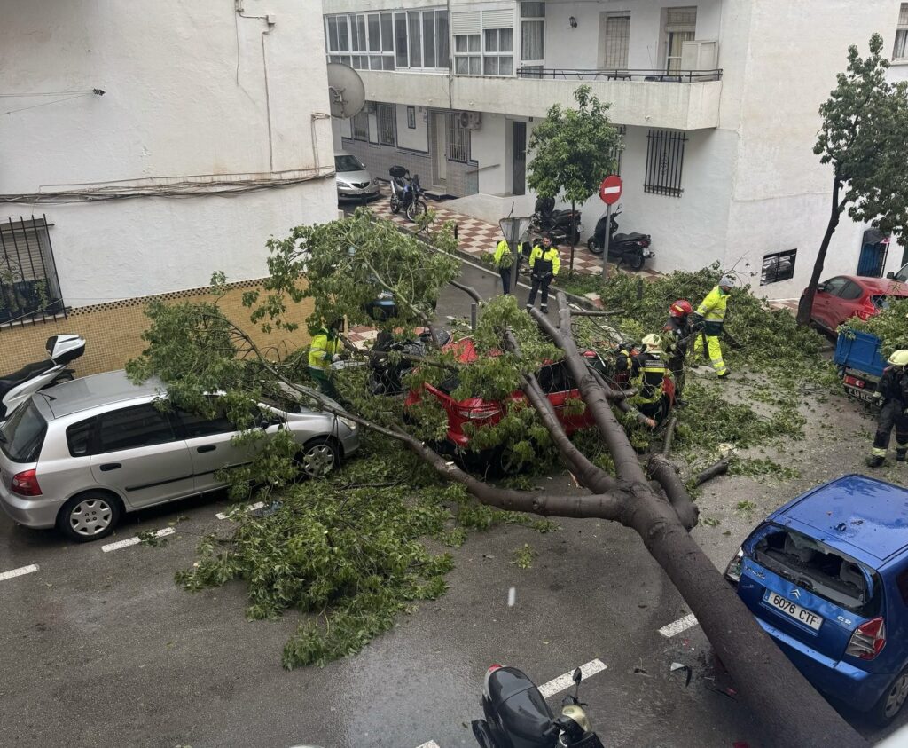 Árbol caído en Marbella
