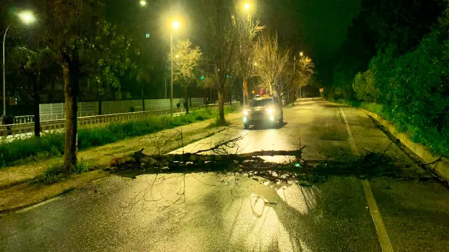 Torremolinos pone en marcha un plan de choque para la retirada de cañas de las playas tras el temporal