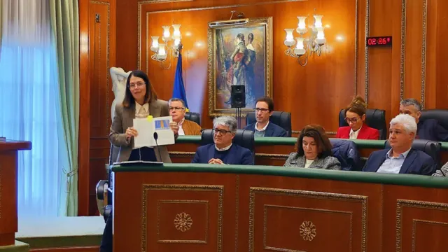 Pleno Marbella