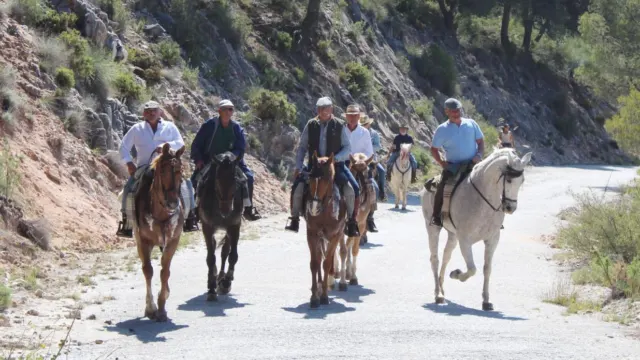 caballos