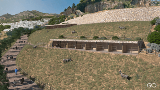 Burros Mijas