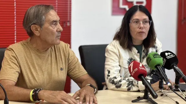 El PSOE exige al Ayuntamiento de Marbella que licite de inmediato el proyecto de desdoblamiento de la carretera de Ronda en San Pedro