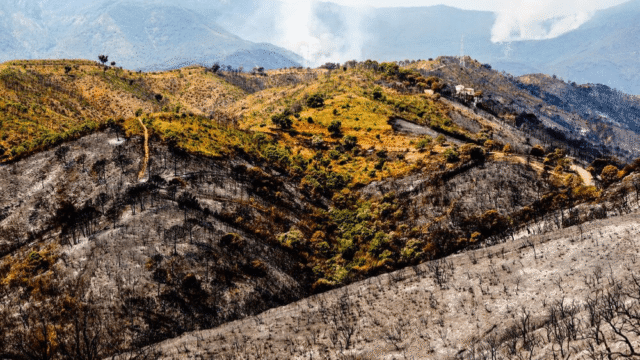 “El cierre irresponsable del retén de bomberos de Manilva pone en riesgo a todos: los fuegos de Manilva los tendrá que apagar Estepona”