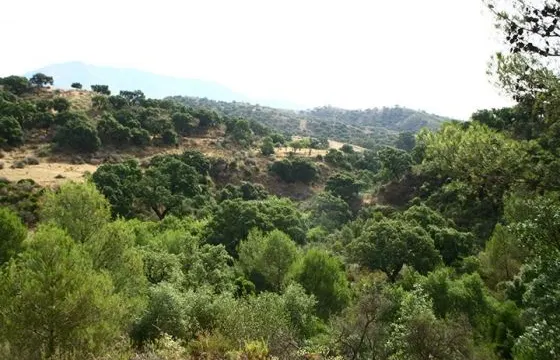 Siete municipios impulsan la declaración de la Sierra de Mijas-Alpujata como parque natural