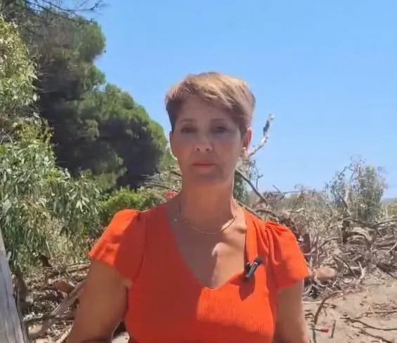El Ayuntamiento de Estepona destruye parte de las Dunas de Matas Verdes