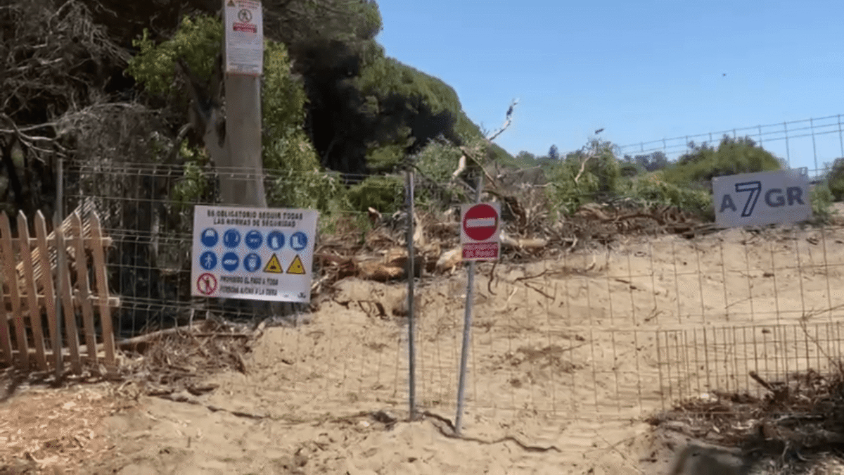 El Partido Socialista Europeo llevará a Estrasburgo el deterioro del entorno natural en las dunas de Matas Verdes por la acción del Ayuntamiento de…