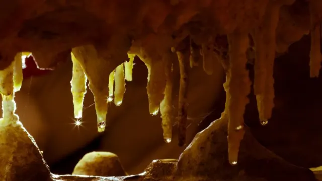 La Cueva de Nerja, un microclima bajo tierra