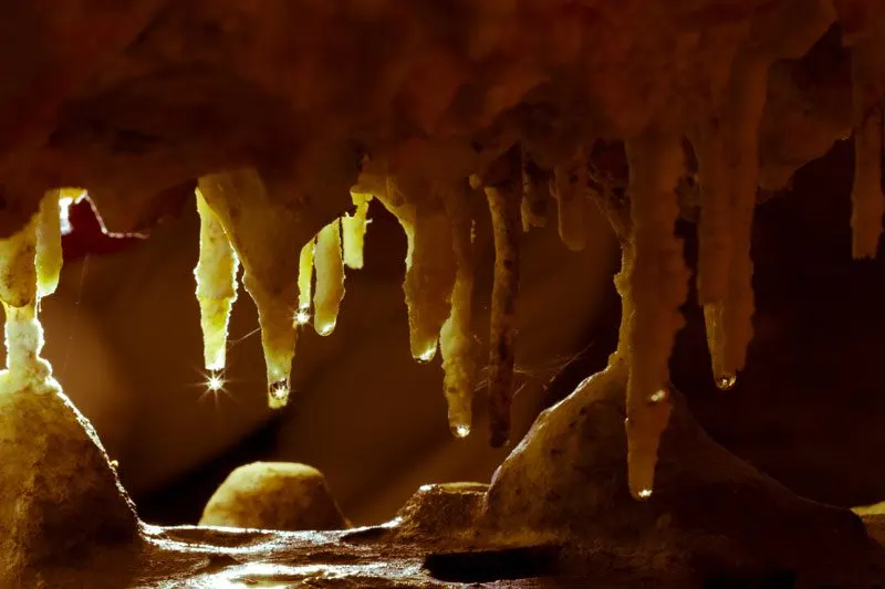 La Cueva de Nerja, un microclima bajo tierra