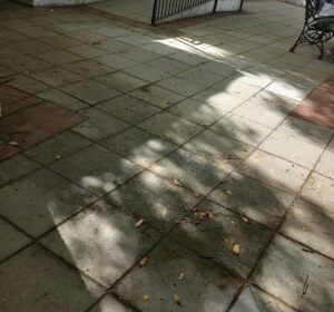 Familiares de usuarios de la Residencia del Carmen de Estepona desvelan incidencias muy graves que "evidencian el estado de abandono" del centro 1 Familiares de usuarios de la Residencia del Carmen de Estepona desvelan incidencias muy graves que "evidencian el estado de abandono" del centro