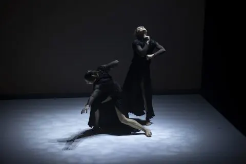 El Palacio de la Paz de Fuengirola acogerá el sábado 21 de febrero el espectáculo de danza contemporánea Hiraeth