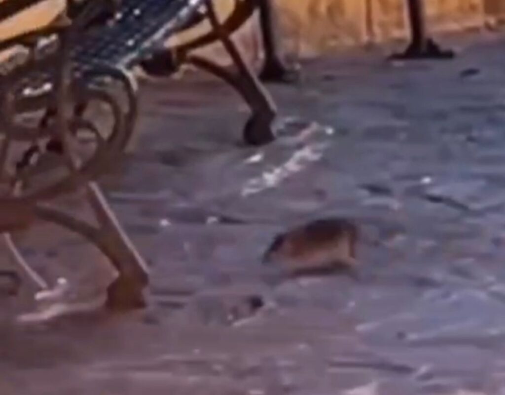 Noticias de la Costa del Sol