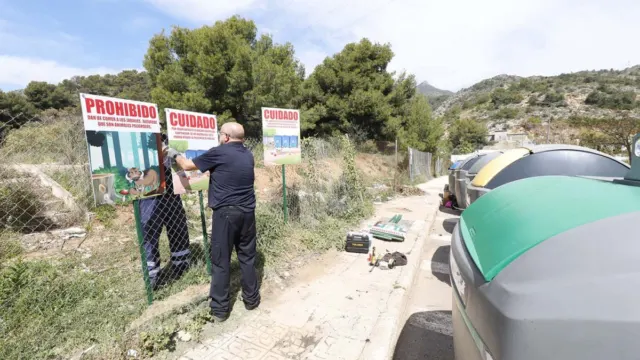 Los jabalíes toman una urbanización de Marbella y desatan el temor entre los vecinos