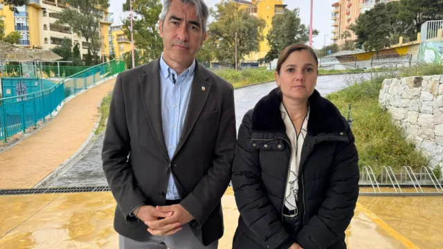 psoe de benalmadena