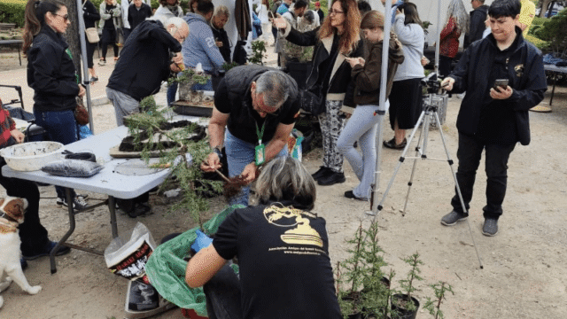 El Parque de la Paloma de Benalmádena acogerá este fin de semana una nueva edición de la Feria de Plantas de Colección