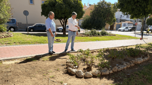 Roy Pérez critica la falta de riego y mantenimiento en los espacios verdes de Doña Ermita
