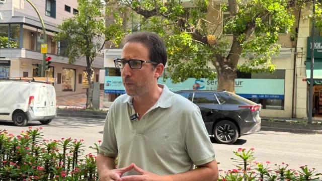 Piden a la alcaldesa de Marbella que «se tome en serio» el mantenimiento del arbolado para que no ocurra otra desgracia