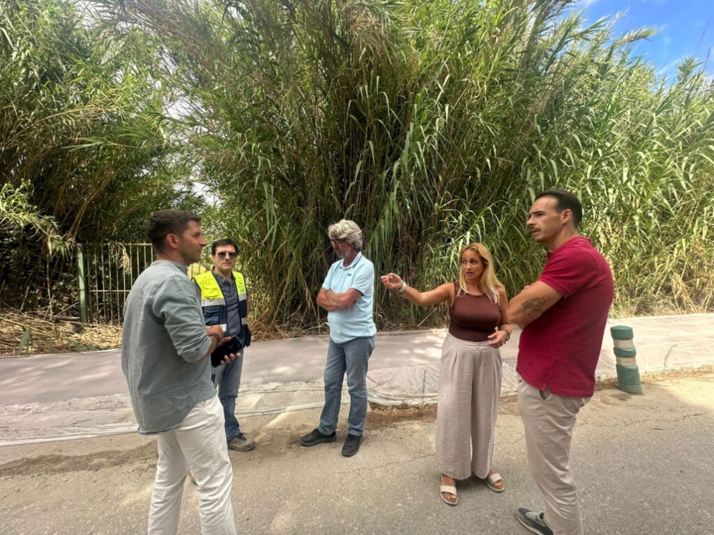 Noticias de la Costa del Sol
