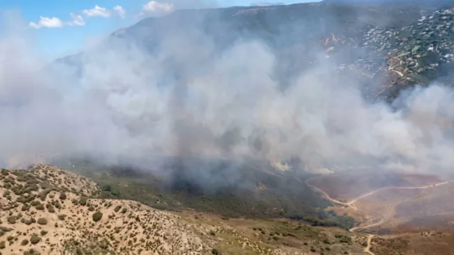Los servicios de extinción frenan el avance del incendio forestal de Benahavís, que supera las 300 hectáreas afectadas